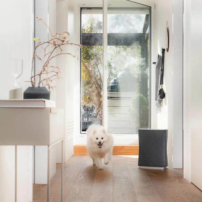 Gaisa attīrītājs STADLER FORM Roger little Black R-016 - DomoTehnika