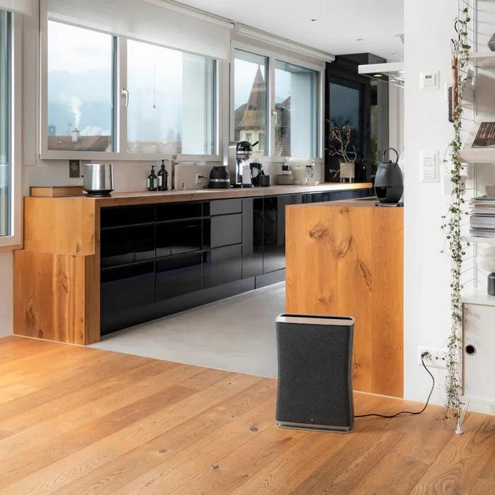 Gaisa attīrītājs STADLER FORM Roger little Black R-016 - DomoTehnika