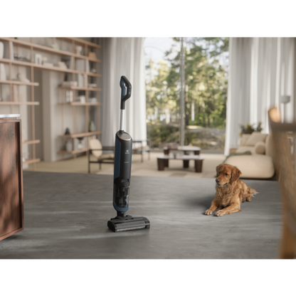 Mazgājošais putekļu sūcējs ELECTROLUX EW81U3DB