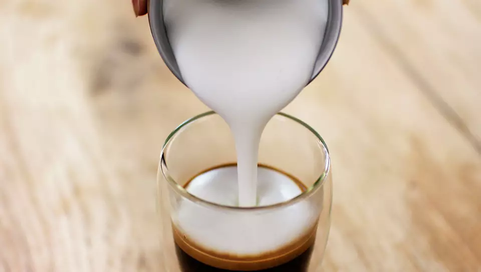 Вспениватель молока PHILIPS CA6500/63