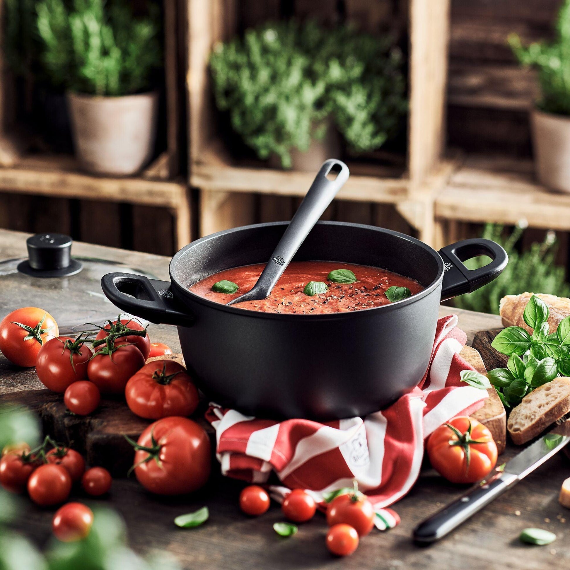 Katls ar vaku BALLARINI AVOLA CASSEROLE WITH LID 24cm 1006219 - DomoTehnika