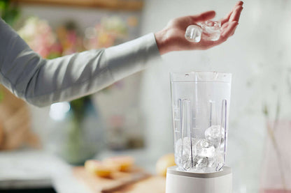 PHILIPS Daily Collection mini blenderis, 350W HR2602/00