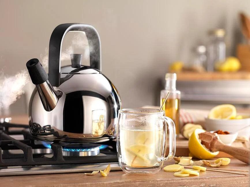 Tējkanna ar svilpi ZWILLING Plus,18cm,1.60l - DomoTehnika